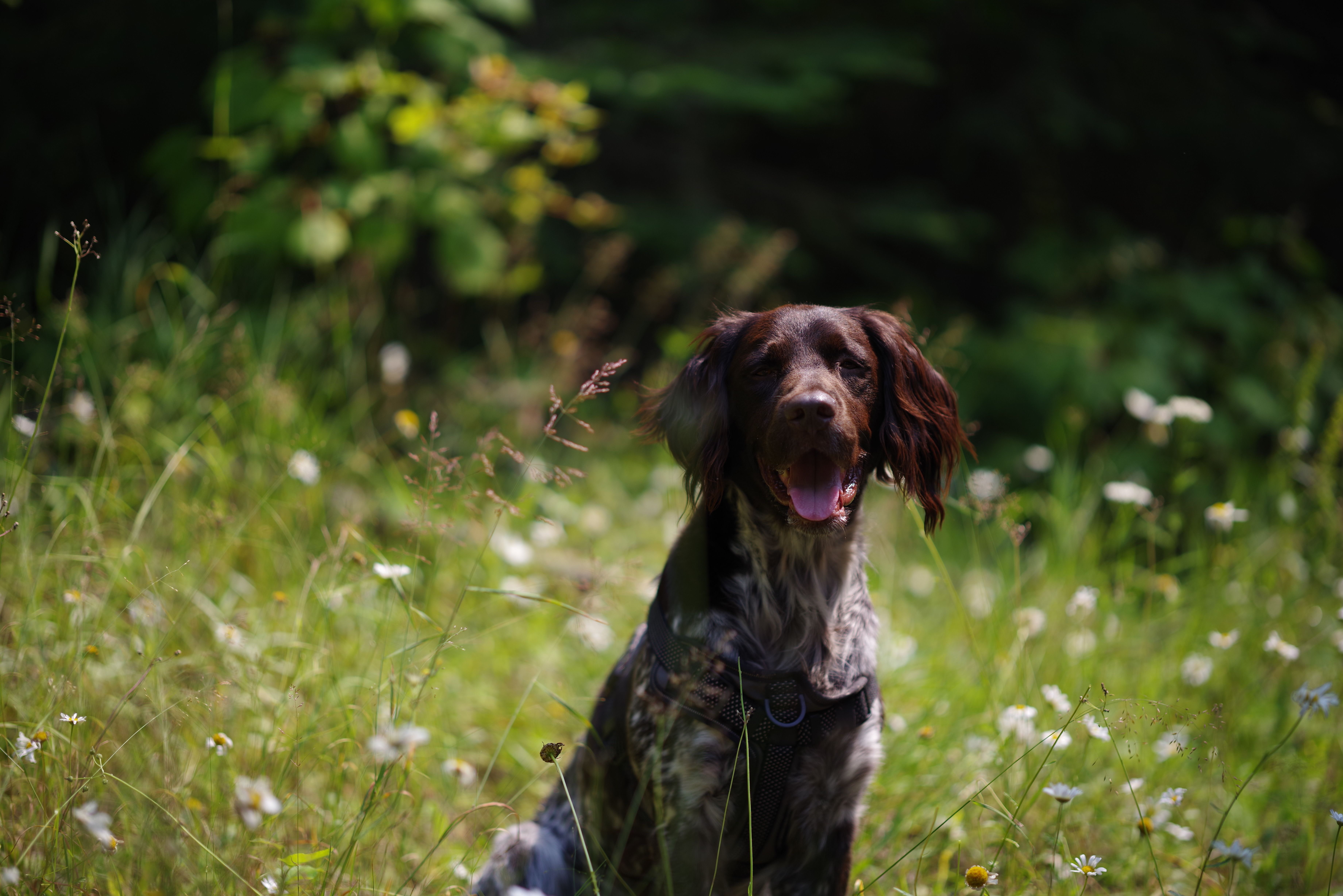 A portrait taken with the Pentax 85mm f/1.4 lens