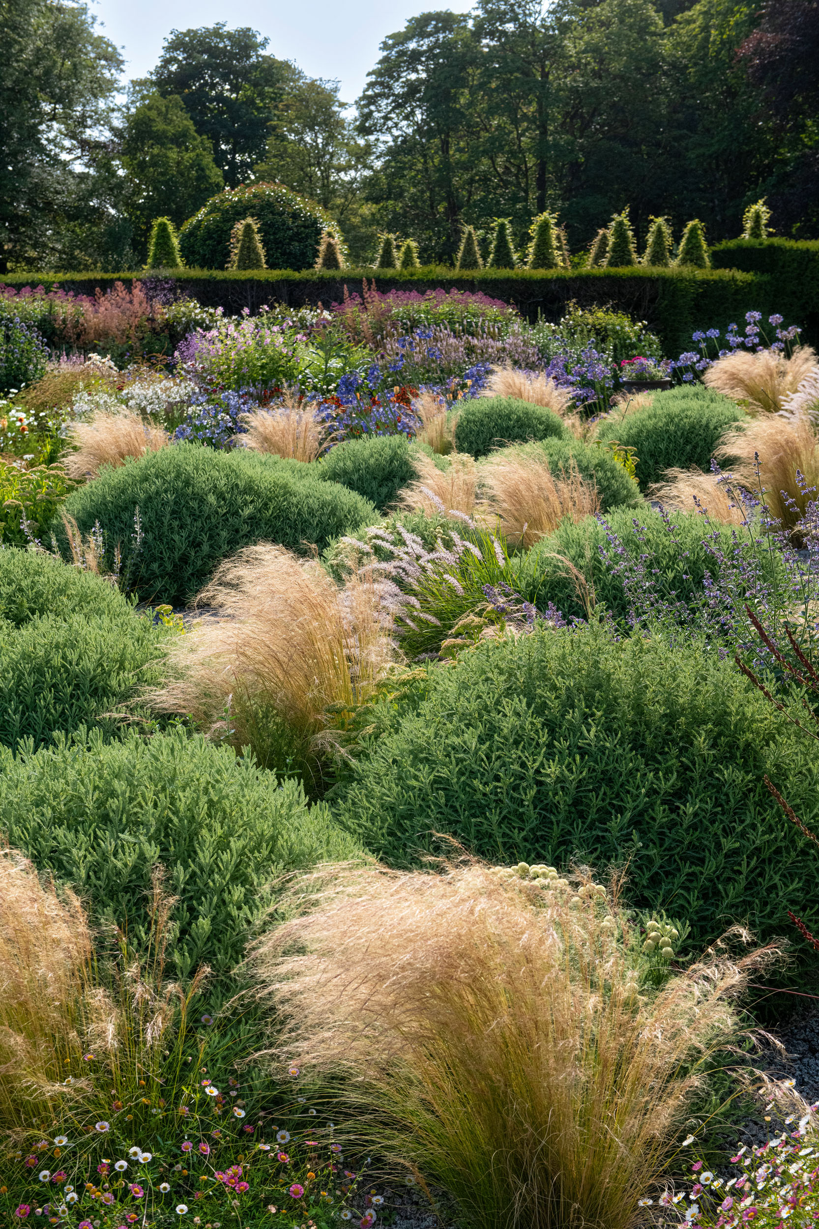The garden at Craichlaw House