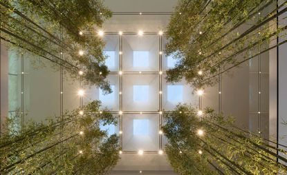 The ceiling of the new Macau Apple Store, featuring a mixture of natural and artificial light
