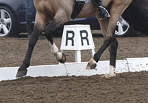 Dressage-legs-R.jpg