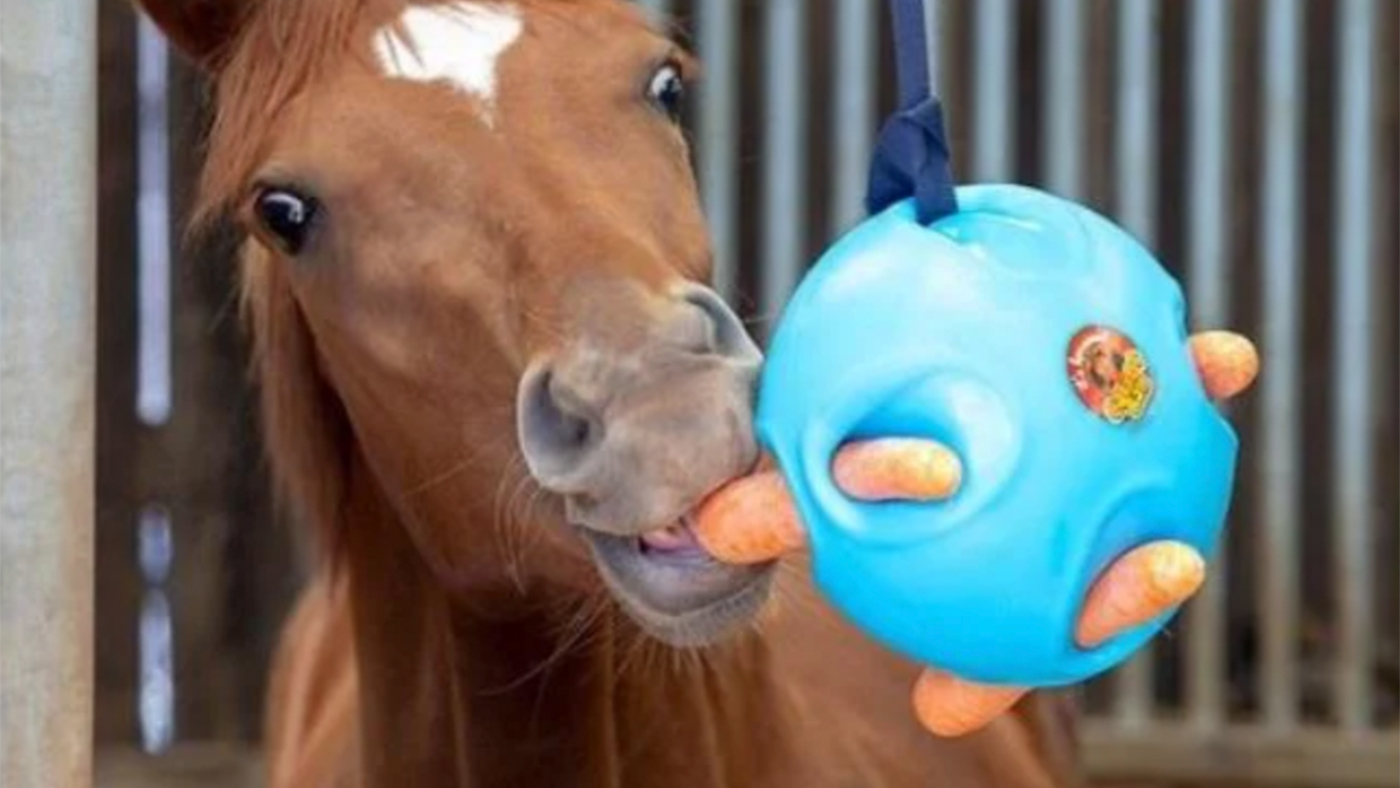Shires Carrot Ball stable toy