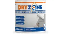 Is dryzone the best kitchen paint?