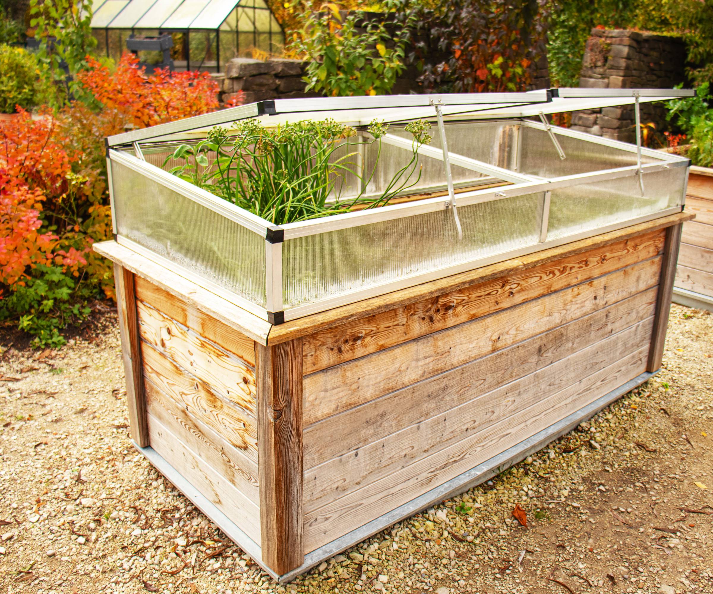 Cold frame on a raised bed in a garden