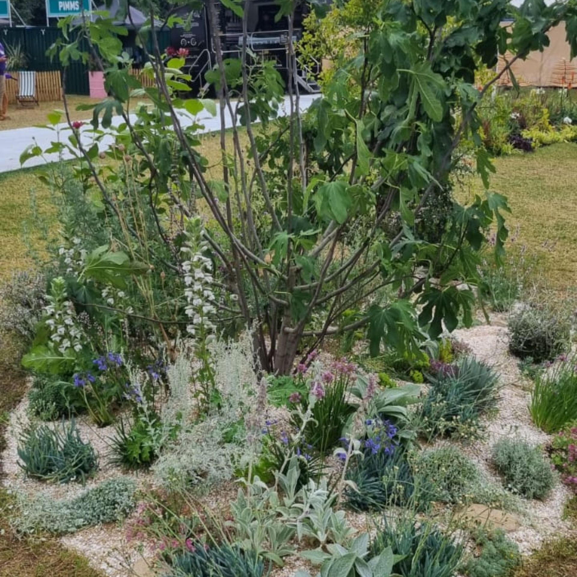 Aphrodite's Garden at the 2023 Royal Hampton Court Flower Show