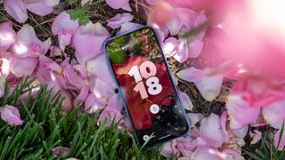 The colorful home screen of the Google Pixel 8a under some flowers