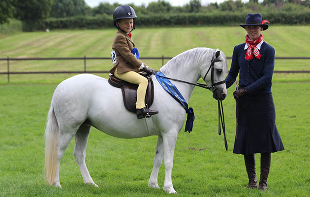 BSPS Heritage mini M&amp;amp;M champions George Levett &amp;amp; Thistledown Velvet Touch, handler Jo Burchell IMG_1874