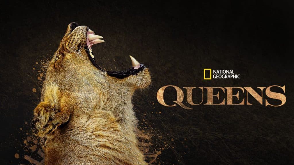 The poster for Nat Geo&#039;s Queens