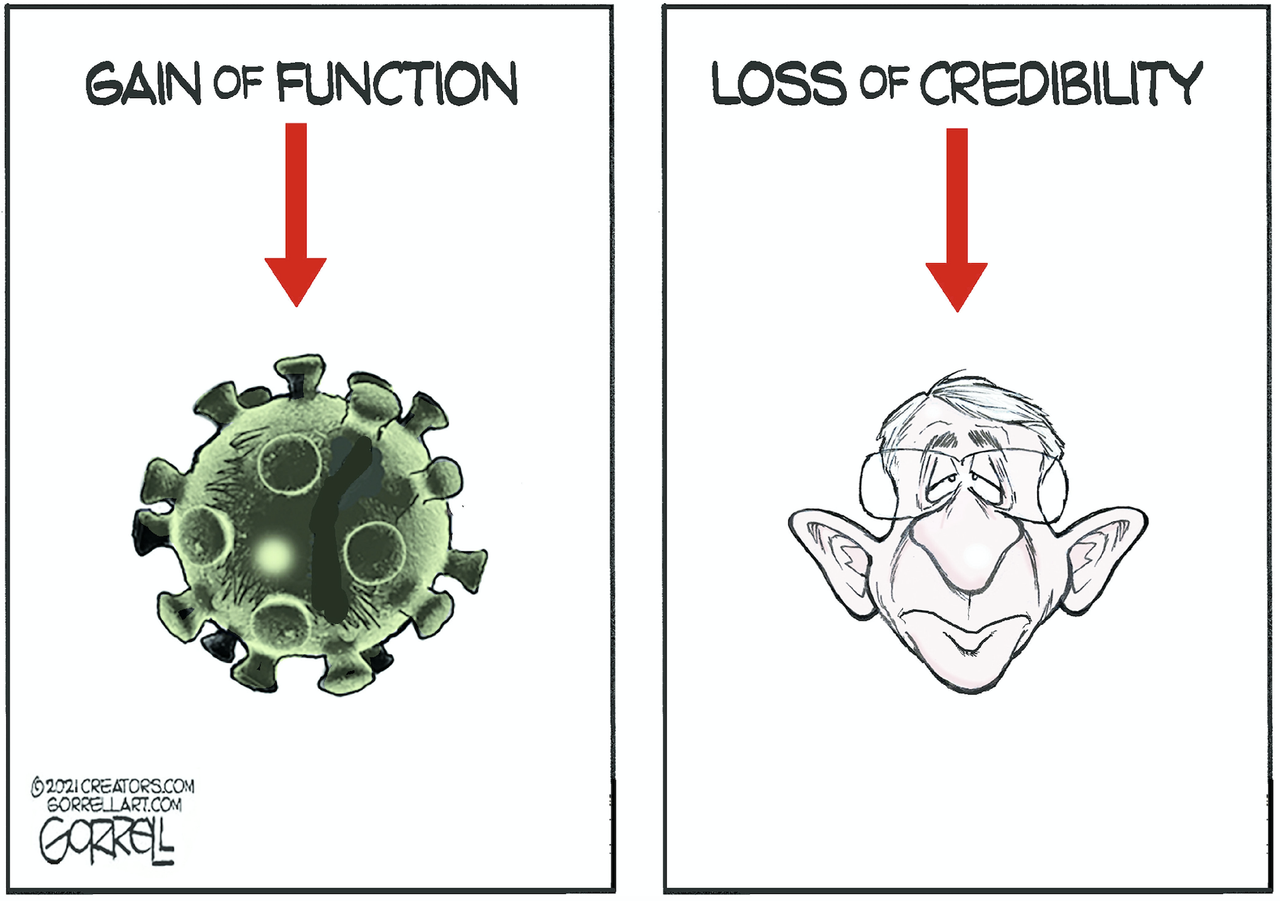 fauci down, covid up