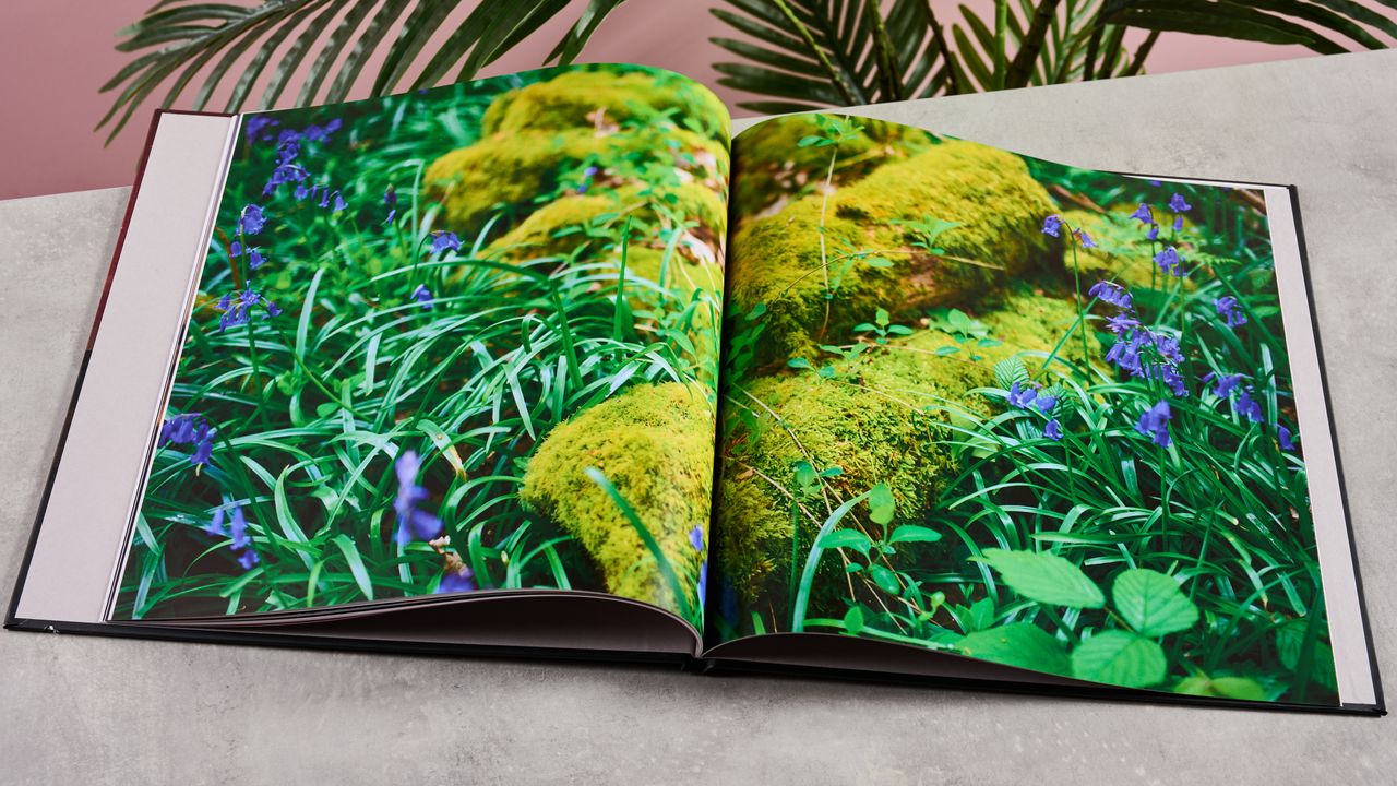 The interior of Blurb photo book showing a mossy log surrounded by grass and bluebells.