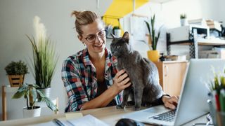 Woman working with cat on desk