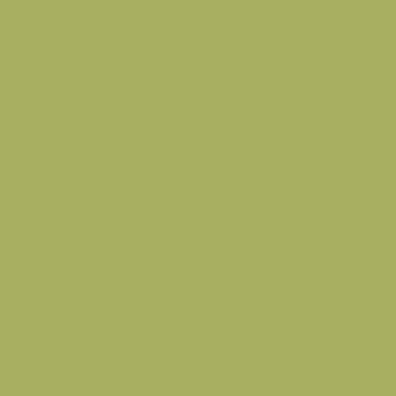 lime green paint swatch