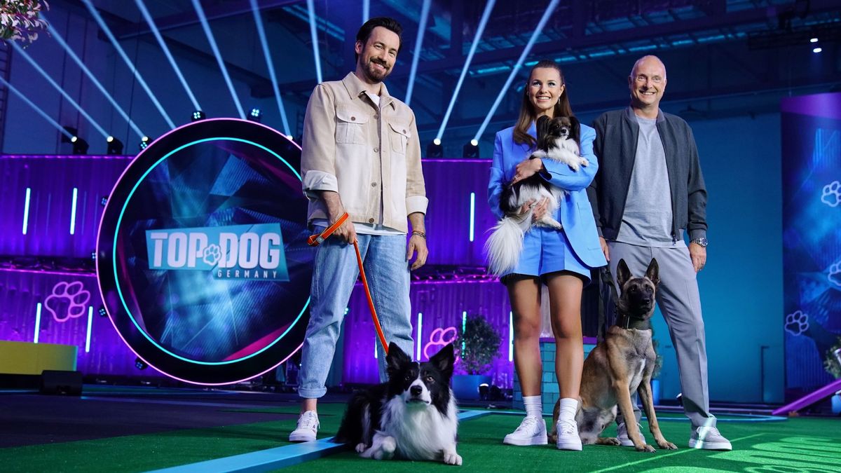 Top Dog German A+E Networks