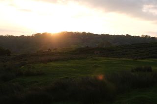 Sunset over some green fields