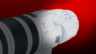 Canon EF 200-400mm f/4L IS USM Extender 1.4x