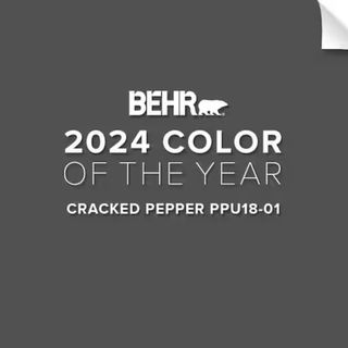 Behr Cracked Pepper PPU18-01 soft black paint swatch