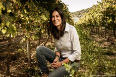 Sardinian wine grapes