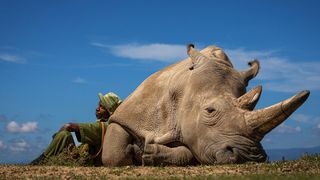 Travel Photographer of the Year Awards 2022 winners