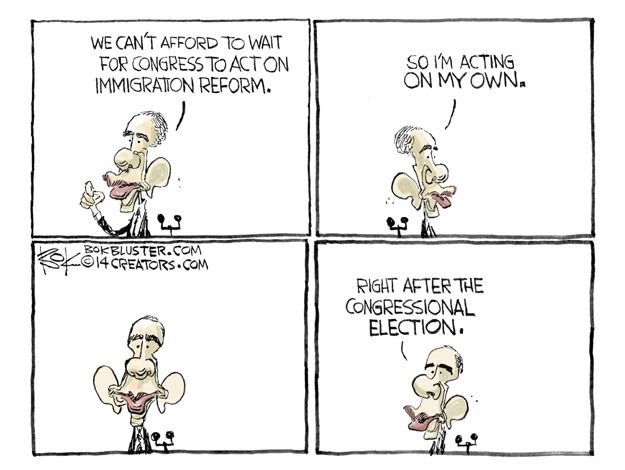 Obama cartoon immigration reform midterm elections