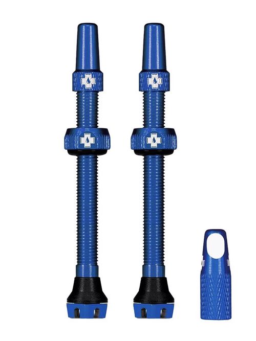 V2 Tubeless Valve Kit