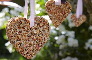 things to do with kids: bird feeder