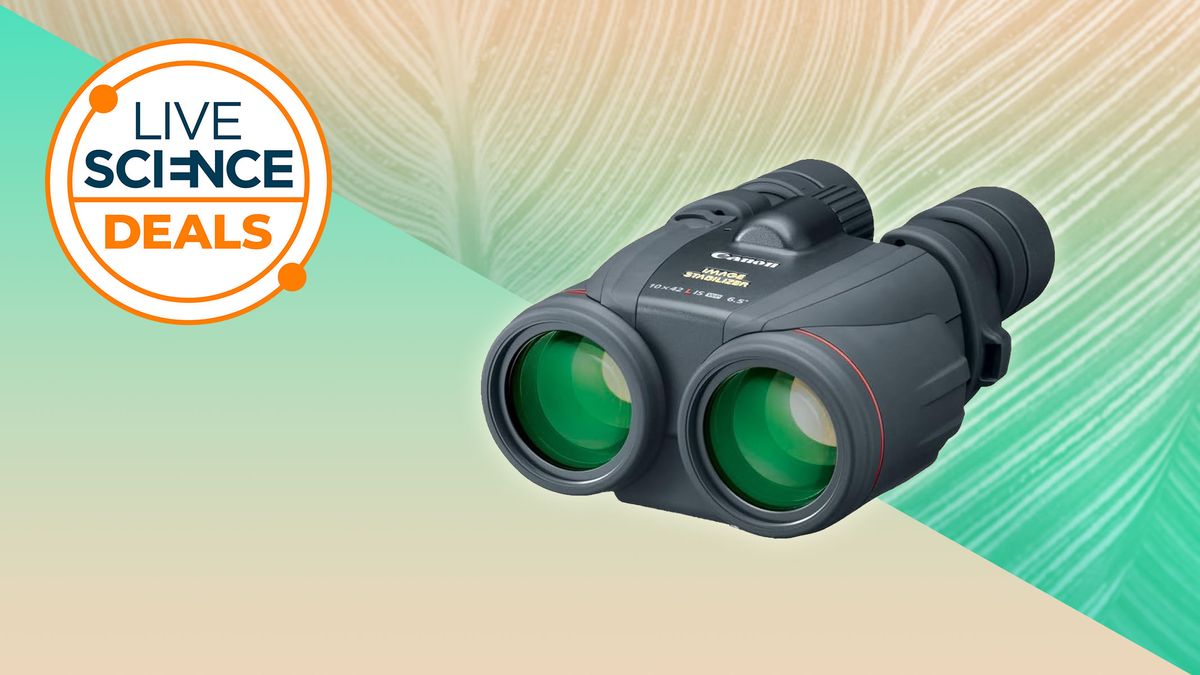Celebrate Bird Day this Sunday: Huge discount on Canon binoculars we call 'game-changing' for bird-watching