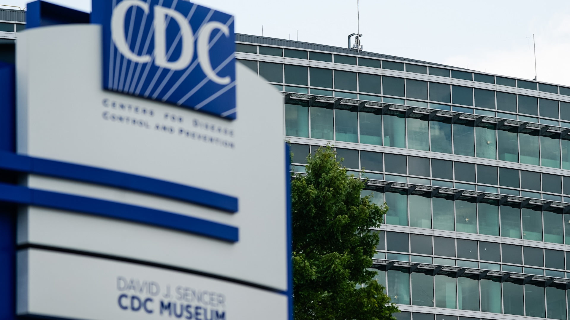 Bullet holes are seen in windows at the Centers For Disease Control Global Headquarters following a shooting