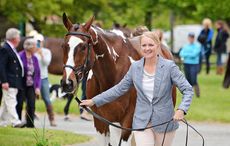 Philippa Humphreys with Rich N Famous at the first trot-up at the Jersey Fresh International Horse Trials