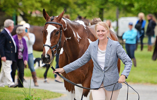 Philippa Humphreys with Rich N Famous at the first trot-up at the Jersey Fresh International Horse Trials