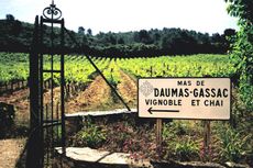 Mas de Daumas Gassac, Languedoc