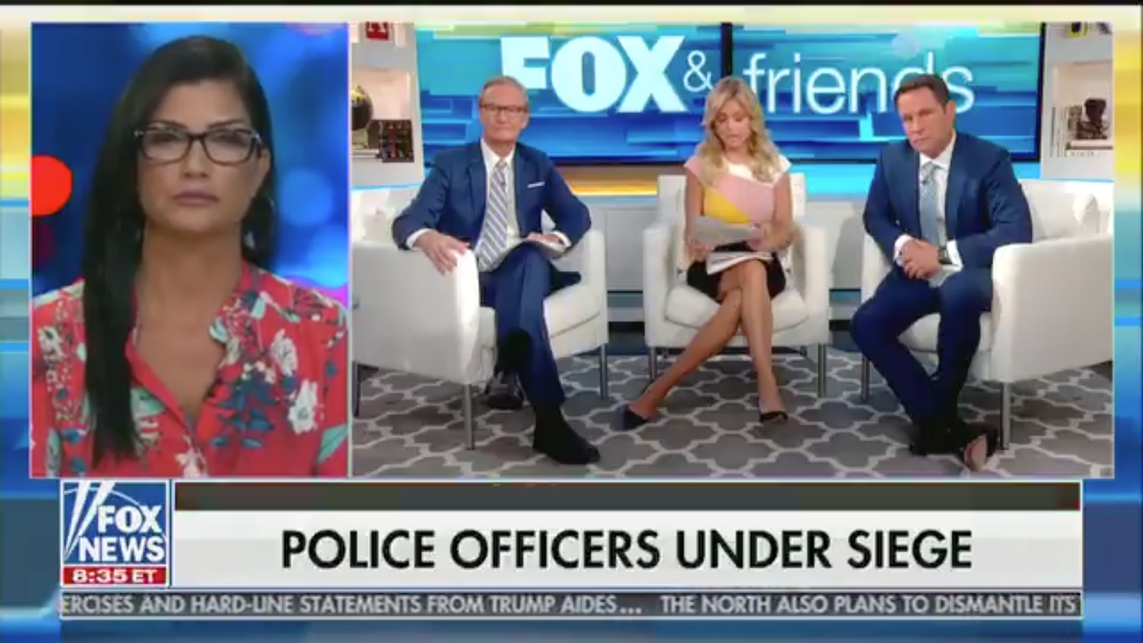 Dana Loesch on Fox News.