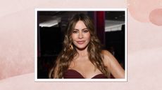  Sofía Vergara is pictured wearing a nude lipstick look whilst attending "An Unforgettable Evening" Benefiting The Women's Cancer Research Fund at Beverly Wilshire, A Four Seasons Hotel on April 10, 2024 in Beverly Hills, California/ in a pink watercolour style template