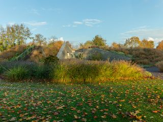 Marche Arboretum with all its green nature and richness in moody weather