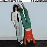 23. The Lemon Twigs - A Dream Is All We Know (Captured Tracks)