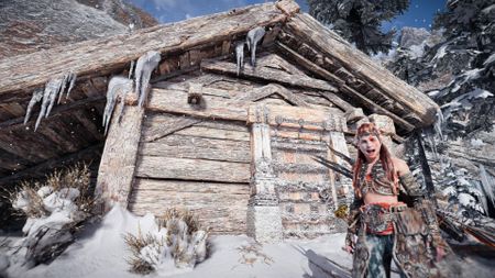 horizon Forbidden West totems