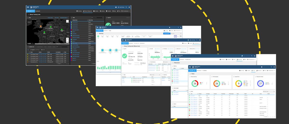 The Park Place Technologies Entuity interfaces