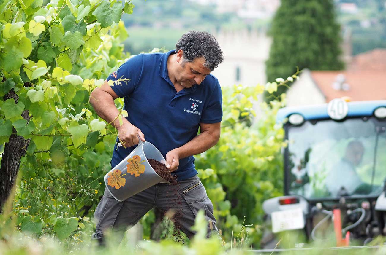 Bodegas Marqu&eacute;s de Vizhoja