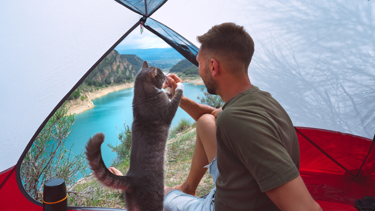 Man sitting in a tent camping with your cat