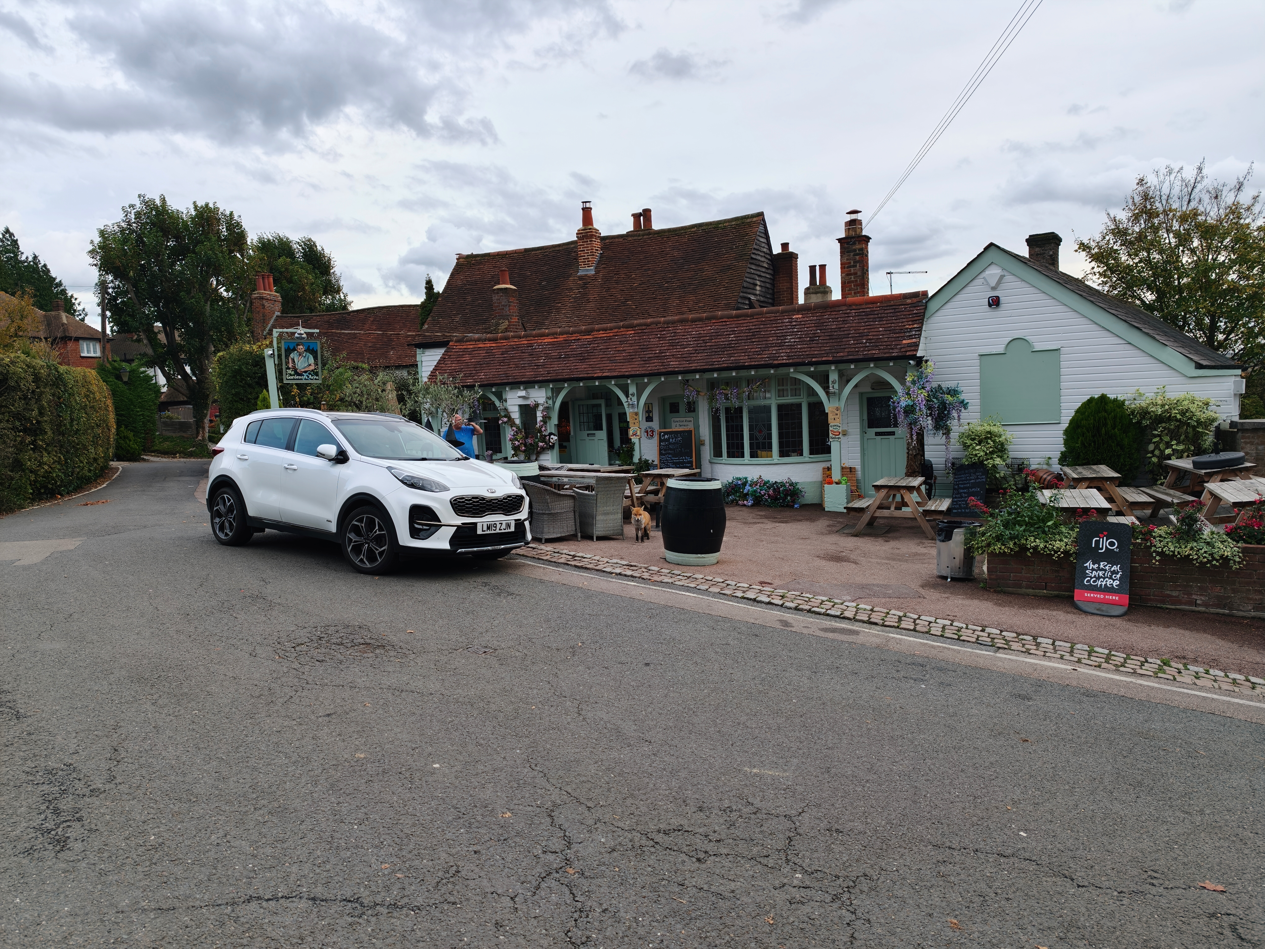 A fox in a pub courtyard, with a white car to the left of the frame