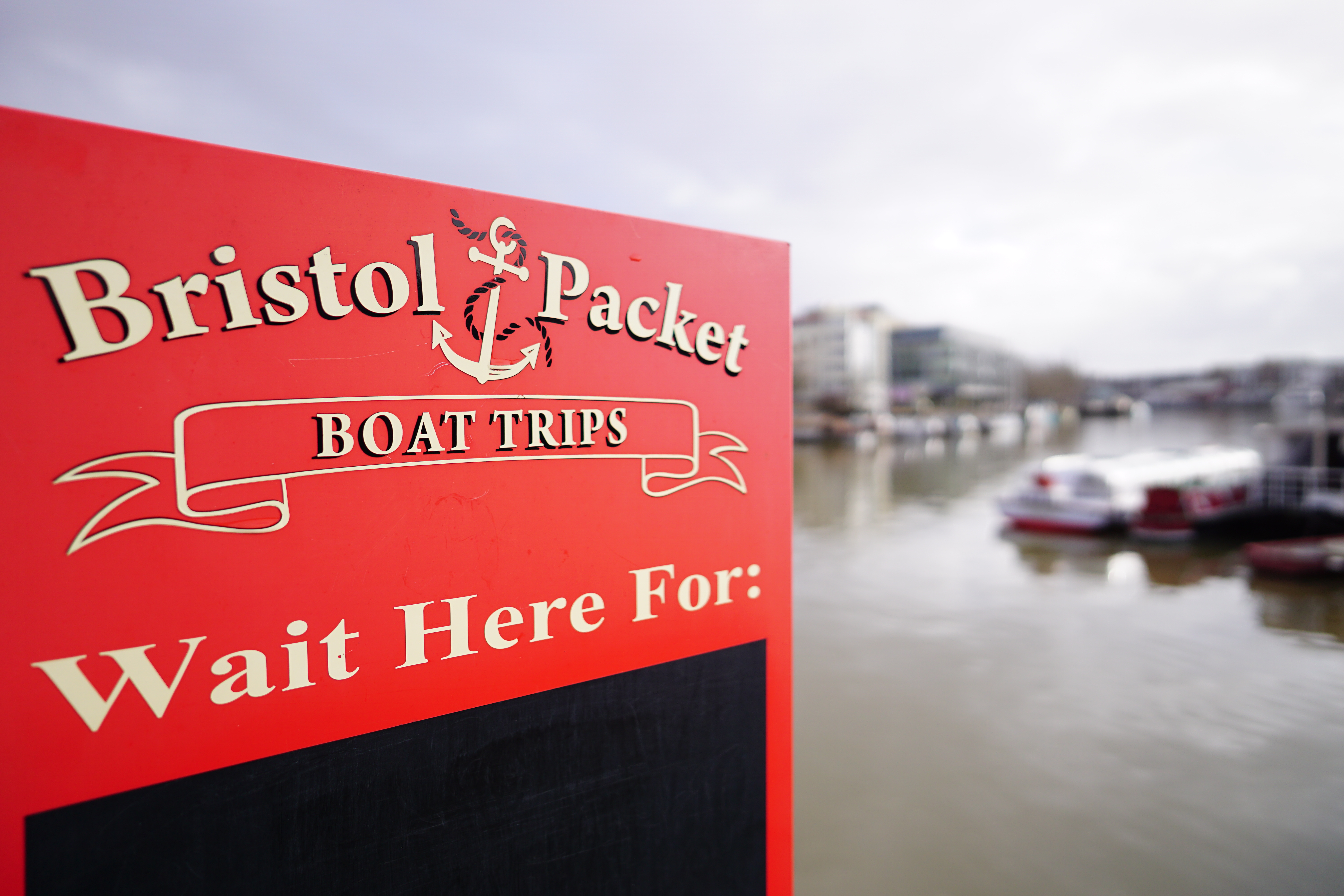 Sigma 15mm f/1.4 DC | C sample image