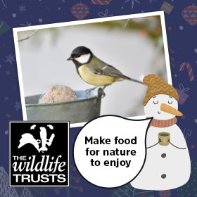 12 Days of Kindness Christmas - Feed Winter Wildlife