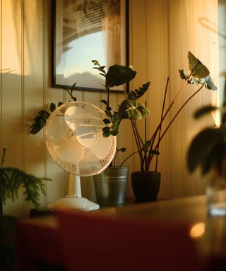 A white fan on top of a brown bookshelf with leafy plants next to it, and white wooden paneling on the walls