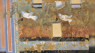 The birds shown in this image from the facsimile are rock pigeons, which can still be found year-round in Egypt.