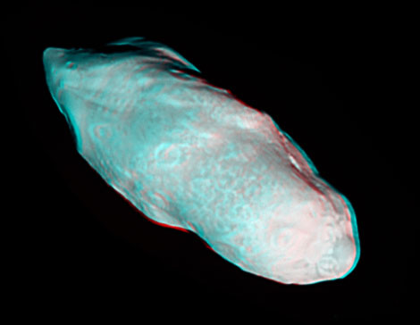 Thar She Blows! Saturn Moon Looks Like Moby Dick