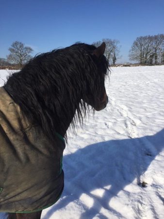 Unknown-2-3-e1522146620444.jpeg