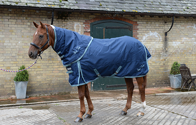 Review of Turn-out rugs; Rug No4, Mark Todd Heavyweight Turnout Rug, at Wild Farm Equestrian, near Watford in Hertfordshire, UK on 1st September 2015