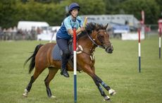 Mounted-Games-2-1.jpg
