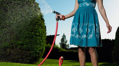 Woman in blue dress watering a lawn