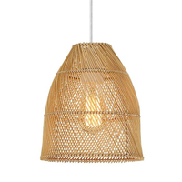 Light bell pendant, Wayfair