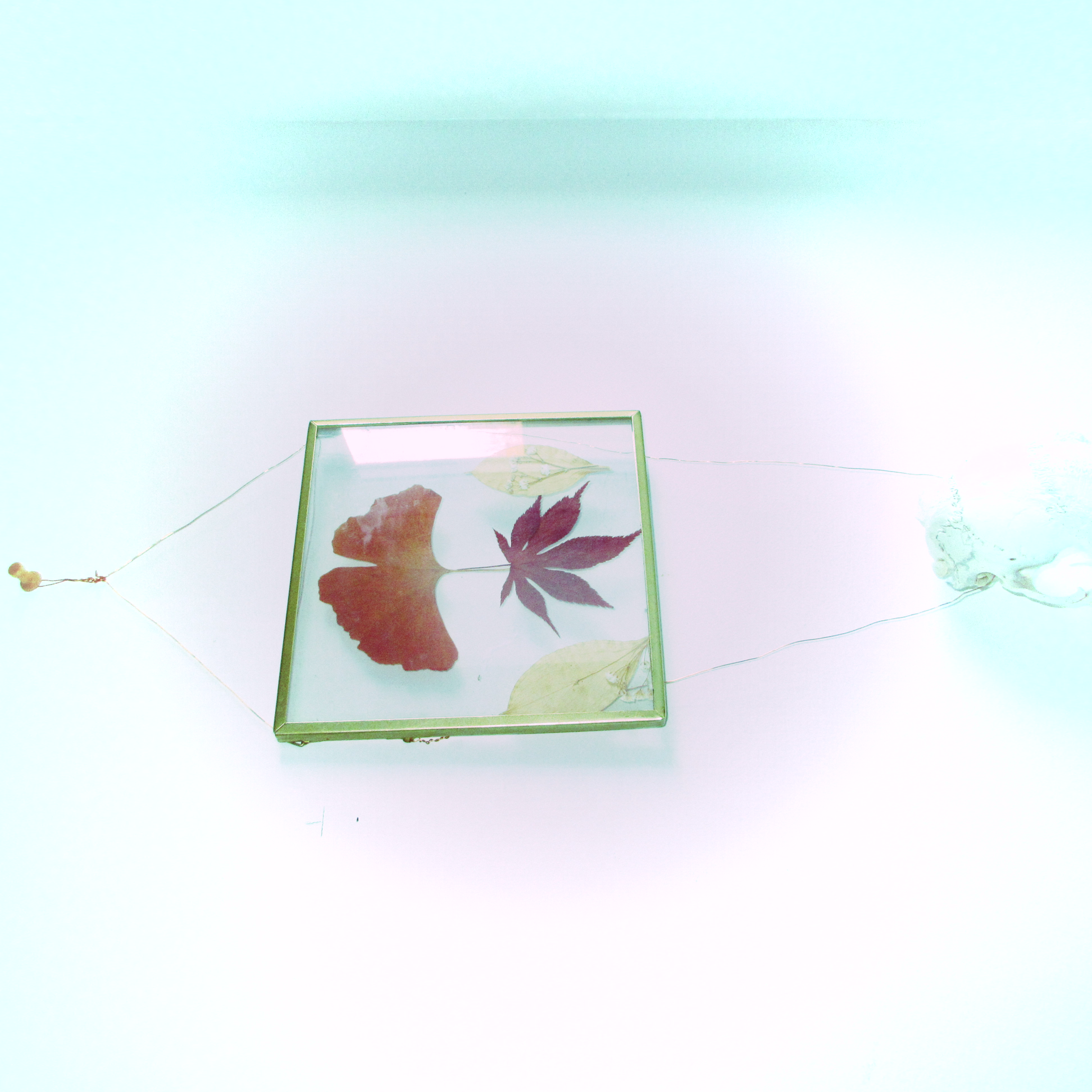 A photo taken on a Canon PowerShot Elph 360 HS A / IXUS 285 HS A compact camera