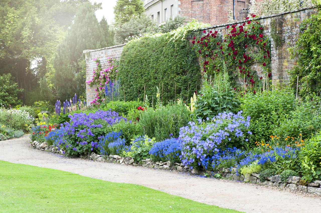 A beautiful summer herbaceous flower border in hazy sunshine